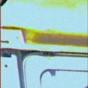 Meet your Posher, Ray